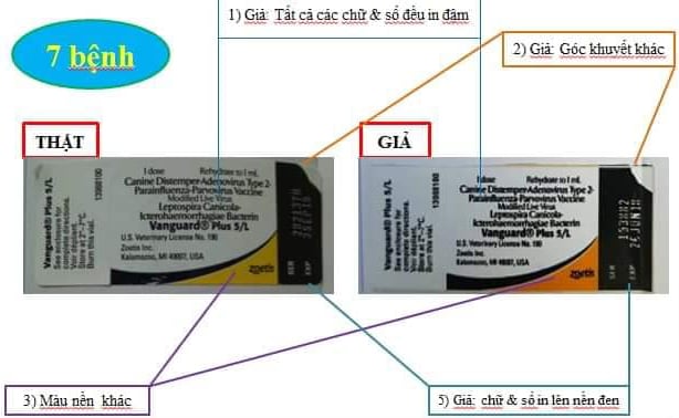 Phân biệt thật giả vacxin Vanguard 5 và 7 bệnh cho chó 9