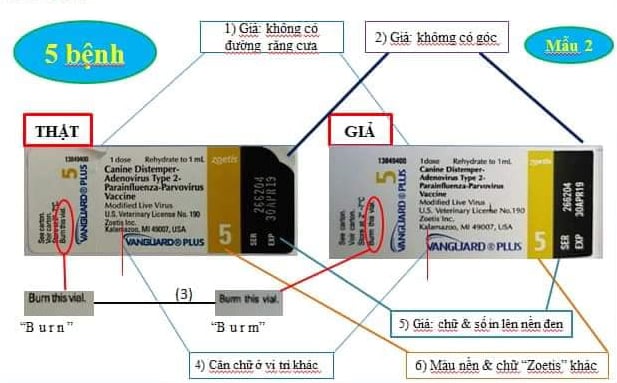 Phân biệt thật giả vacxin Vanguard 5 và 7 bệnh cho chó 7