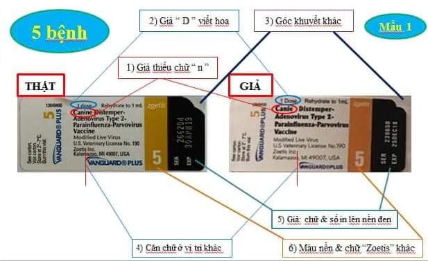 Phân biệt thật giả vacxin Vanguard 5 và 7 bệnh cho chó 6